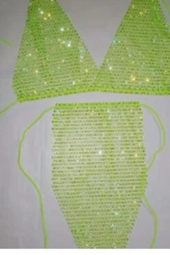 Bling Rhinestones Fishnet Bra Panty Set