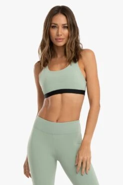 Tax Blackout Sports Bra - Green Sage