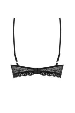 Obsessive Beverly Sheer Rose Lace Bra 10 Obsessive Beverly Sheer Rose Lace Bra -Layer Outfit 28225307410588 4