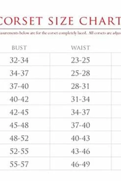 Top Drawer Premium Sequin Kansas Girl Costume -Layer Outfit 29527631559 3