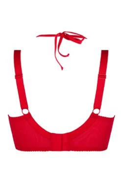 Axami Plus Size Rouge Shelf Bra -Layer Outfit 32205815644316 3