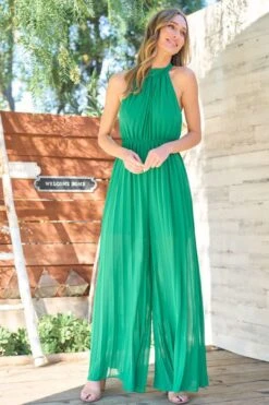 Pleated Chiffon Halter Neck Jumpsuit 6 Pleated Chiffon Halter Neck Jumpsuit -Layer Outfit 39251925631229 2