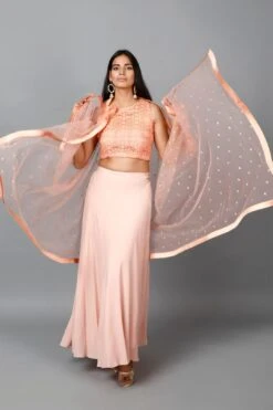Elegant Peach Colored Crop Top & Flare Skirt - Rent -Layer Outfit 39968050807060 6