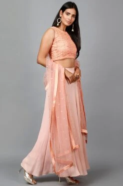 Elegant Peach Colored Crop Top & Flare Skirt - Rent -Layer Outfit 39968050872596 4