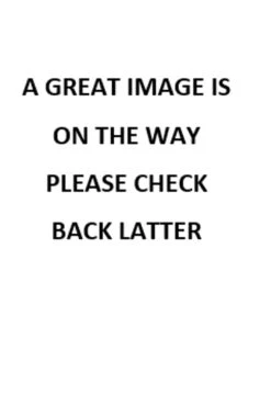 Striped Skirt - White/Royal Blue