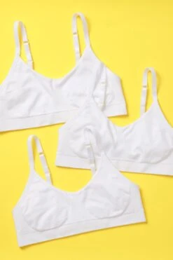 NEW Tulip Seamless Bra 3PK Bundle Basics Collection -Layer Outfit 40420663492839 3